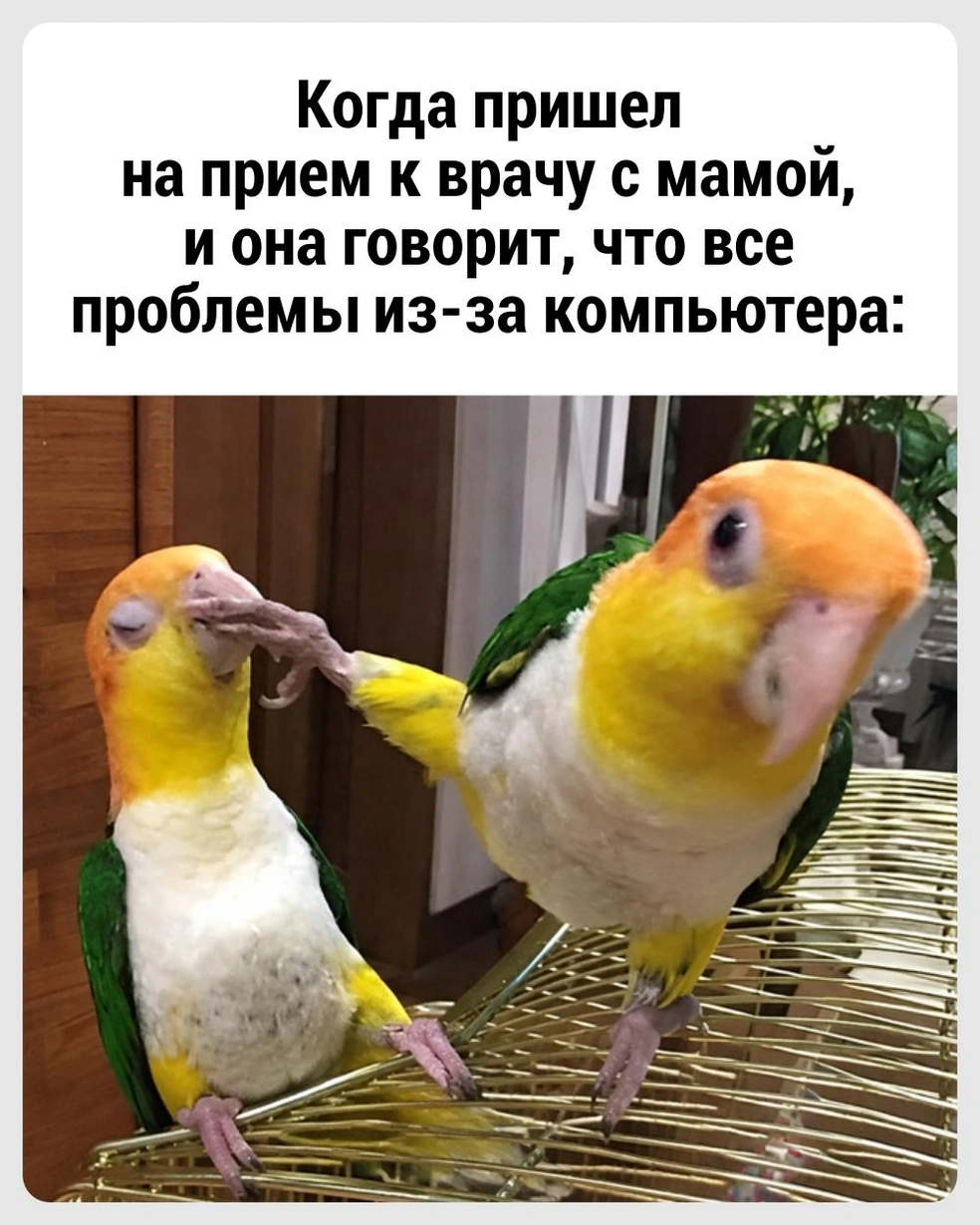 И слова сказать не даст | Источник: Городские медиа