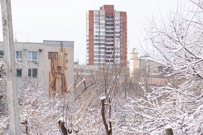 Борис Кубай предупредил о снегопаде в Приморье