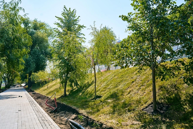 Источник: Институт развития городов РТ
