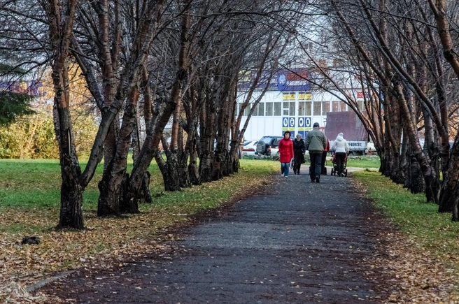 Проезд в жилмассиве затапливает систематически, отмечают в мэрии | Источник: Анна Золотова / NGS.RU