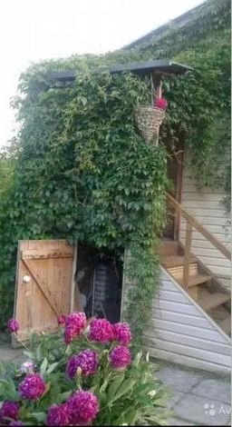 Источник: скрин с сайта Avito.ru