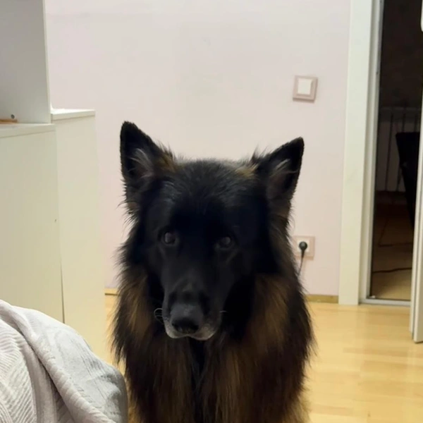 Источник: Татьяна Чивотина