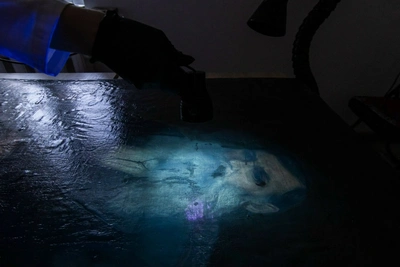 Портрет брата Михаила Бутина готовят к обновлению