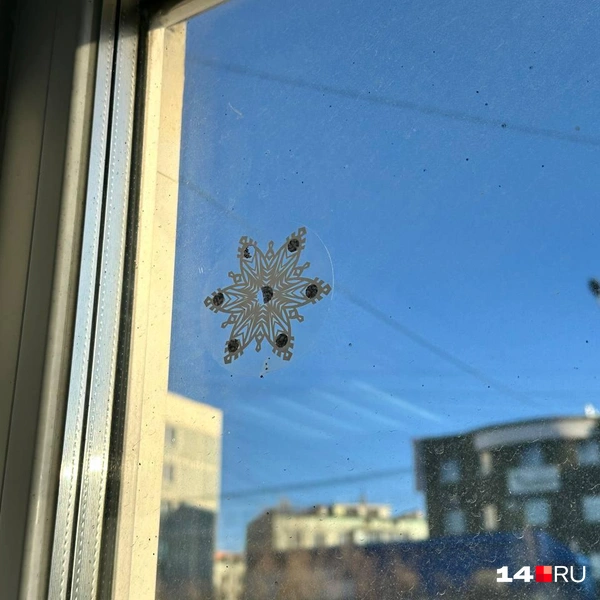 Наклейка со снежинкой | Источник: Илья Константинов / 14.RU