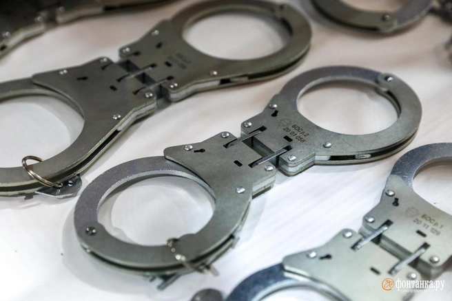 Преступницу отправили в СИЗО на 2 месяца | Источник: Сергей Коньков / FONTANKA.RU