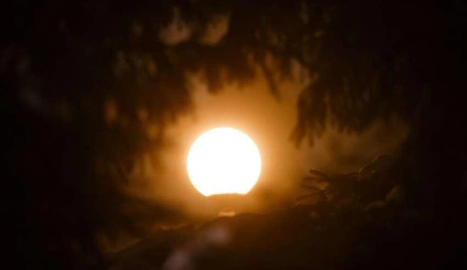 Предприятиям рекомендовано сократить выбросы загрязняющих веществ | Источник: Nk-tv.com