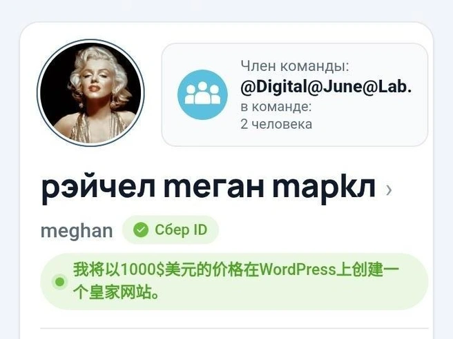Так выглядит портфолио уже Ирины на сайте по поиску фрилансеров | Источник: freelance.ru