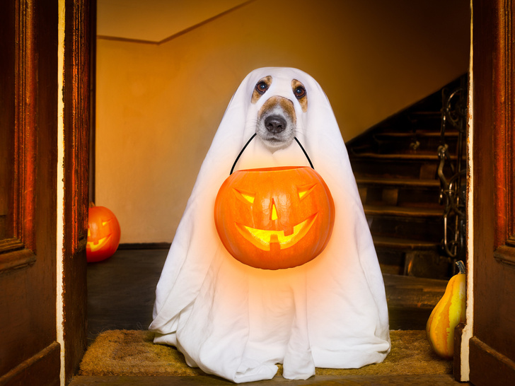 Как украсить дом к Хэллоуину: 20 страшно красивых идей