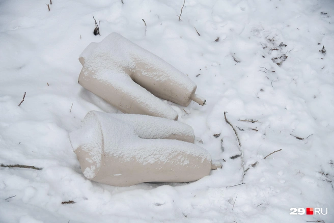 Источник: Иван Митюшёв / 29.RU