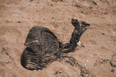 Rospotrebnadzor: Anapa beaches not ready for summer