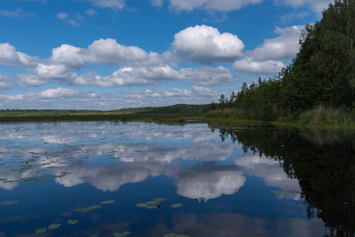 Курс на Север: 5 маршрутов выходного дня по Ленинградской области и Карелии