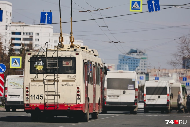 Фото заставочное | Источник: Дарья Пона / 74.RU