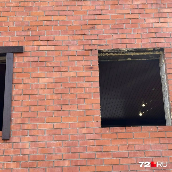 Источник: Мария Токмакова / 72.RU