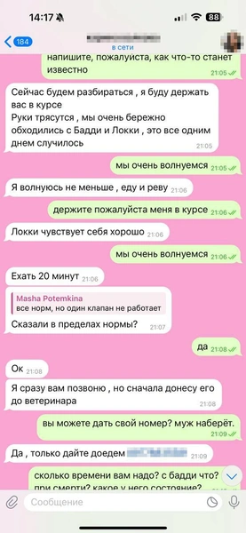 Но вскоре Мария не смогла участвовать в разговоре из-за нахлынувших чувств | Источник: Родион Проводин