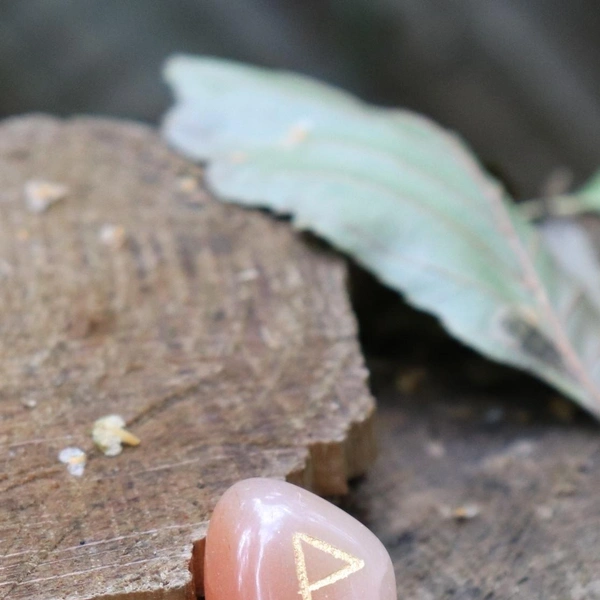 Источник: Nakaya/Shutterstock/Fotodom.ru