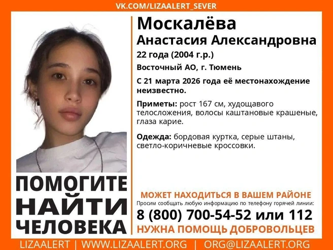 Источник: Лиза Алерт / t.me
