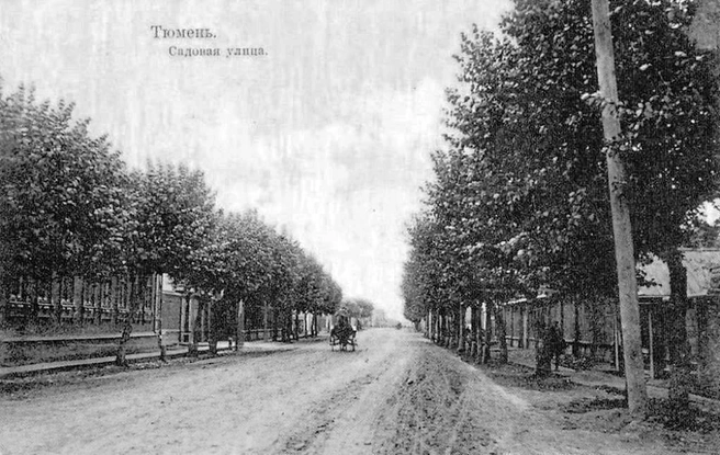 Такой Дзержинского, а тогда еще Садовая, была в начале прошлого столетия | Источник: фонды ТОКМ им. И. Я. Словцова