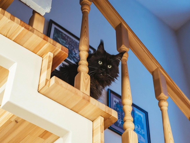 Постепенно все обитатели дома собрались, чтобы увидеть гостей. | Источник: Артем Бауман / 76.RU