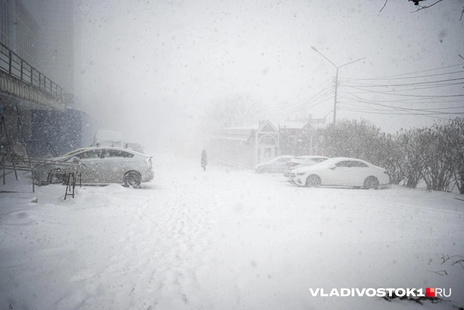 Источник: Елена Буйвол / VLADIVOSTOK1.RU