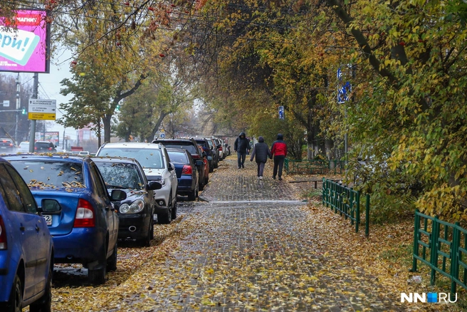 Выходные в Нижнем Новгороде будут дождливыми | Источник: Наталья Бурухина / NN.RU