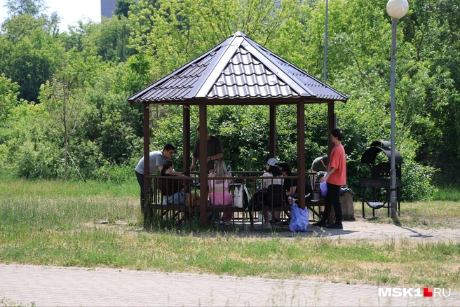 А в беседках москвичи устроили посиделки с шашлыками | Источник: Татьяна Спиридонова / MSK1.RU