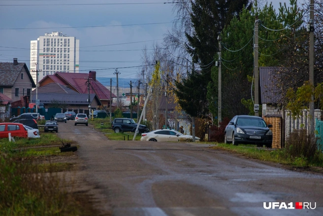 Михайловские пейзажи очень разные | Источник: Булат Салихов / UFA1.RU