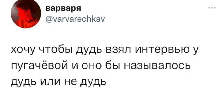 Юрий Дудь признан Минюстом иноагентом, Алла Пугачева на данный момент — нет.