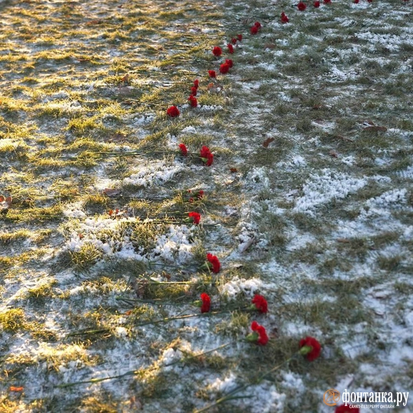 Источник: Павел Даиси / «Фонтанка.ру»