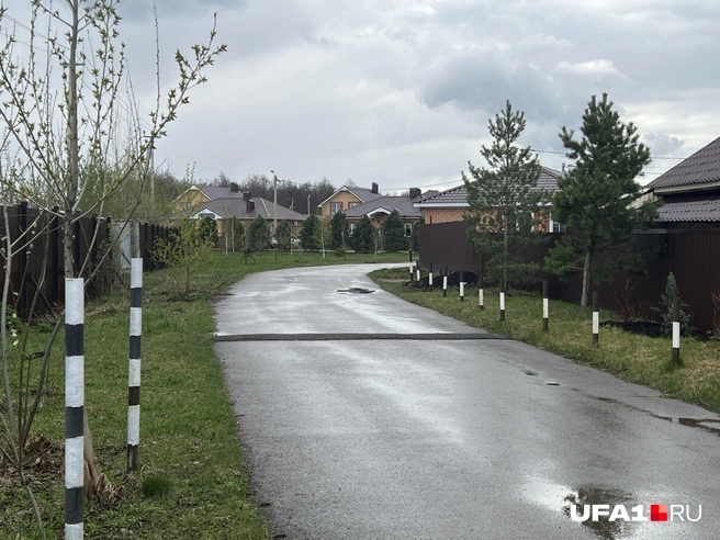 Везде посажены деревья | Источник: Андрей Бирюков / UFA1.RU