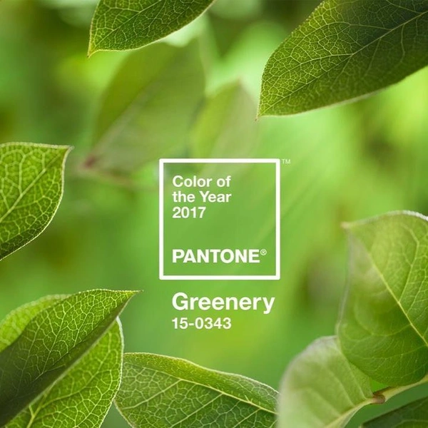 Как менялся цвет года Pantone последние 10 лет