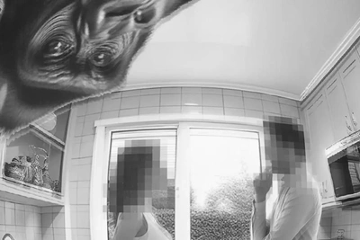 «Видеоклуб» — комедия абсурда об утрате приватности