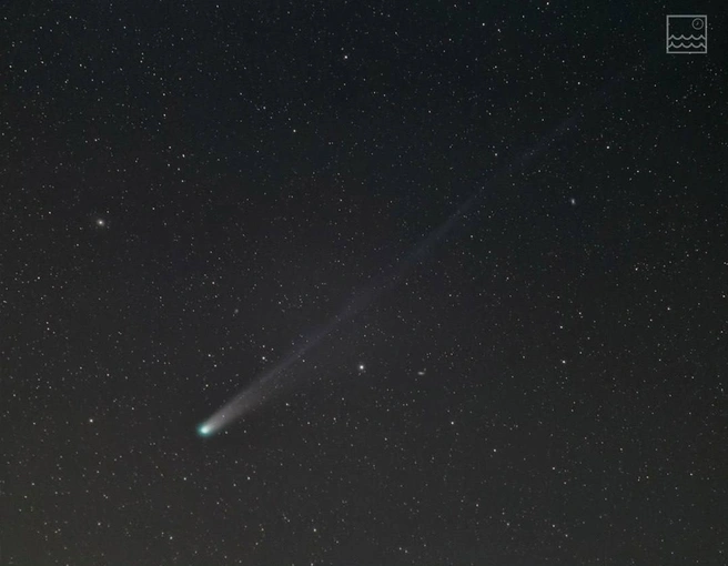 Комета Lemmon  | Источник: t.me/koronavirus_saratov