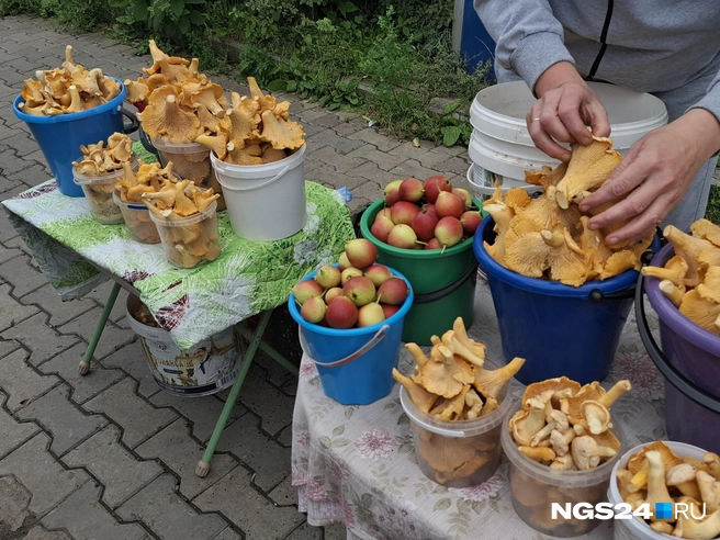 Выглядит очень даже хорошо | Источник: Татьяна Зарва / NGS24.RU 