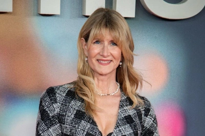 Лауру Дерн раскритиковали за сериал об Эпштейне