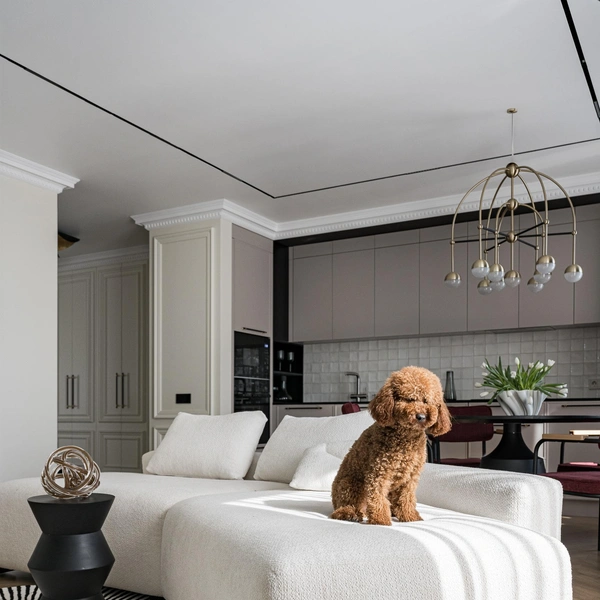 Источник: NATALIA GORBUNOVA/NATALIA GORBUNOVA