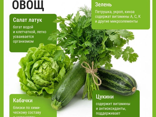 Ингредиенты для замены огурцов в салатных рецептах | Источник: Мария Романова / Городские медиа