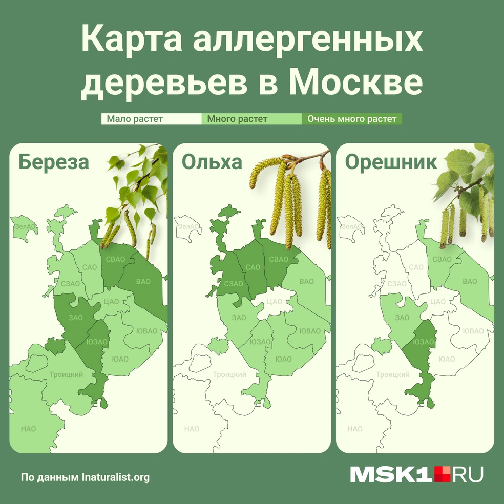 Источник: Мария Романова / Городские медиа