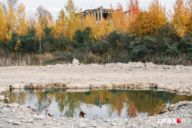 Тем более что нейросети могут написать сценарий для квеста, самому придумывать не придется | Источник: Булат Салихов / UFA1.RU