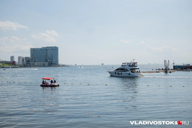 Источник: Елена Буйвол / VLADIVOSTOK1.RU