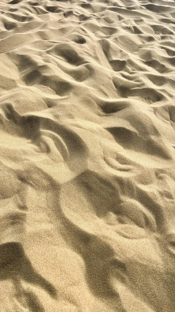 Бархан Сарыкум | Источник: Габриелла Захарова / 26.RU