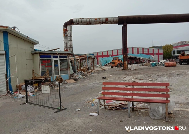 Источник: Екатерина Дымова / VLADIVOSTOK1.RU