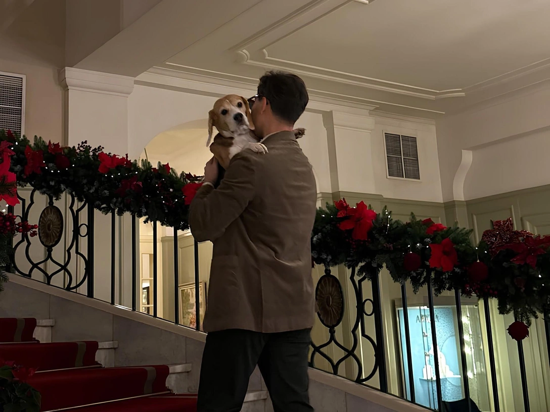 Так выглядит мозг влюбленного мужчины — что должна знать об этом женщина | marieclaire.ru