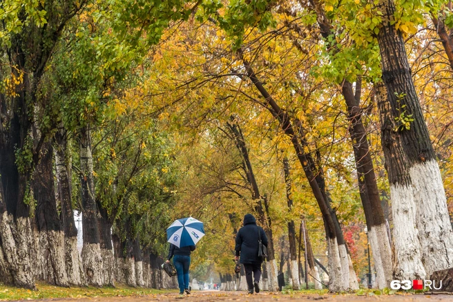 Если внимательно следить за погодой в начале осени, можно заранее подготовиться к морозам | Источник: Роман Данилкин / 63.RU