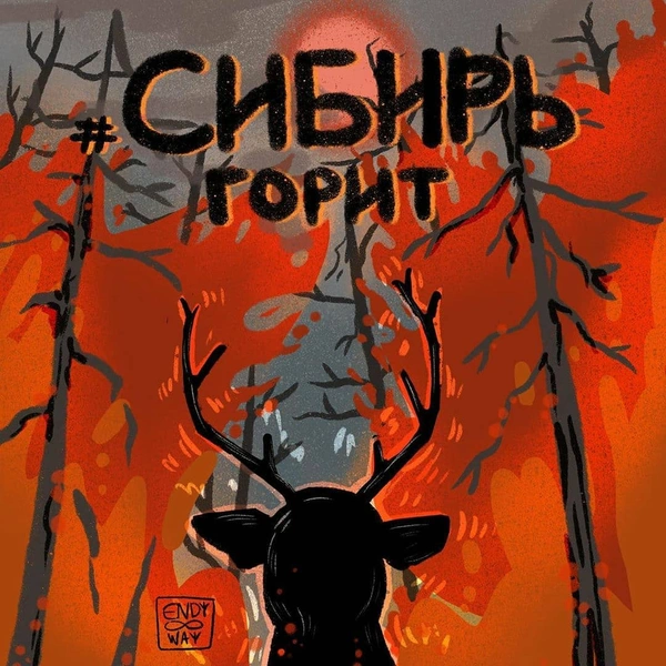 Военная авиация начала тушить пожары в Сибири | thegirl.ru