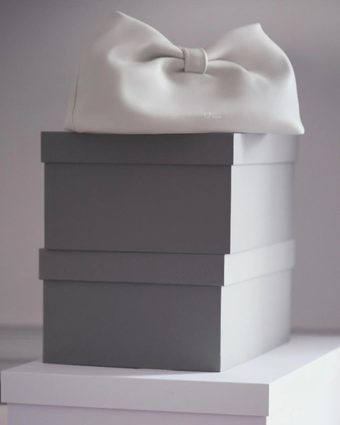Сумка месяца: Dior Bow в форме огромного кожаного банта с «секретом» | Источник: Dior