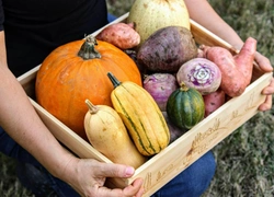 Топ-10 продуктов, которые стоит включить в рацион осенью