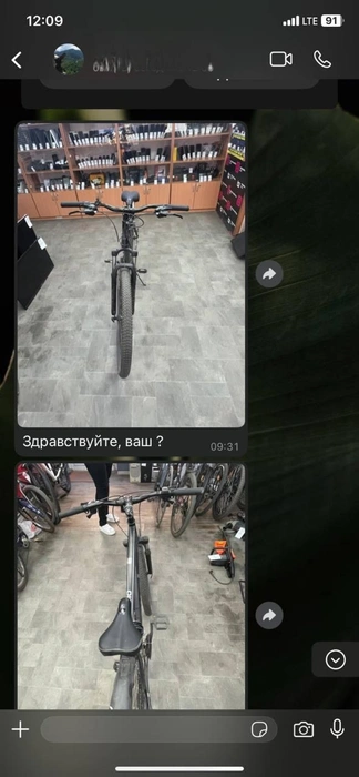 Велосипед всё-таки нашли? | Источник: Мария Лобанова / NGS70.RU
