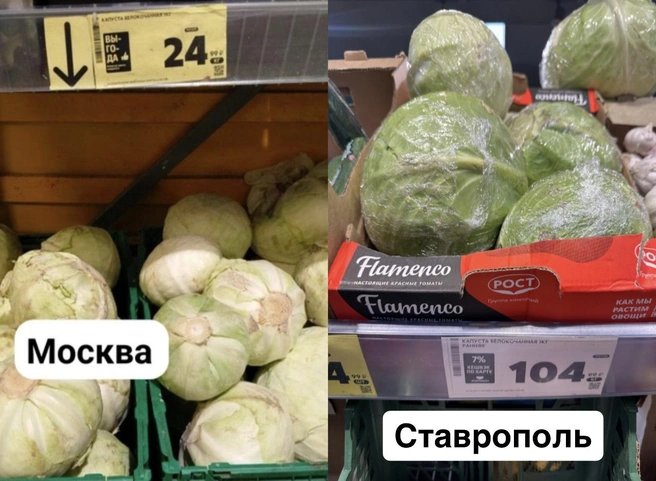 Килограмм капусты белокочанной в Ставрополе дороже из-за нового урожая | Источник: Габриелла Захарова / 26.RU