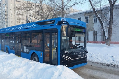 Saratov trolleybus passenger sprays driver with pepper spray