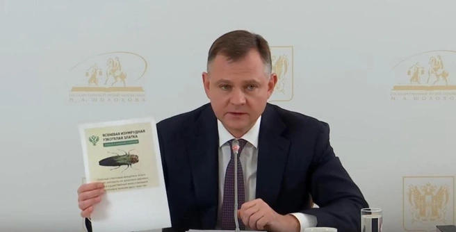 Источник: Правительство Ростовской области / Vk.com